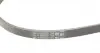 4PK1217 Ремінь генератора Audi A4/A6 2.5TDI 00-05/ Peugeot 205/305/309 1.9-2.5 TD 90-94 CONTITECH підбір по vin на Brocar