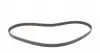 CT866 Ремінь ГРМ Opel Omega/Vectra/Kadett 1.6/1.8/2.0 85-99 (146x20) CONTITECH підбір по vin на Brocar