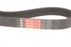 6PK955 Ремень генератора 6PK955 Golf V/Octavia 2.0GTI GATES 6PK955 GATES підбір по vin на Brocar