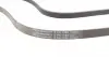 5PK1750 Ремінь генератора Renault Kangoo/Megane/Logan 1.4/1.6i 97-/Opel Insignia 2.0 17- CONTITECH підбір по vin на Brocar