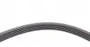 5PK1750 Ремінь генератора Renault Kangoo/Megane/Logan 1.4/1.6i 97-/Opel Insignia 2.0 17- CONTITECH підбір по vin на Brocar