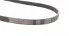 6PK1250 Ремінь генератора Opel Combo/Astra 1.7DTI/CDTI 01-/Ford Focus/Fiesta 1.0 18-/Toyota Venza 2.7 08-16 CONTITECH підбір по vin на Brocar