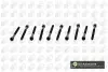 Болты головки блока Q7/Touareg 4.2FSI 06- (к-кт) BGA BK0105