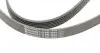 6PK1800 Ремень генератора Opel Combo/Astra/Vectra/Omega 1.2-2.2 91-03/BMW 1 (E81/E87) 2.0D 04-11 CONTITECH підбір по vin на Brocar