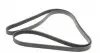 6PK2345 Ремінь генератора Land Rover Discovery III 4.4 04-13/Cadillac Escalade 6.0 01-06 CONTITECH підбір по vin на Brocar