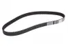 Ремінь ГРМ Citroen Jumpy/C4/C5 2.0 HDI 07-/Fiat Scudo 2.0D 07-/Ford Focus/Mondeo 04-(116x25.4) CT1091