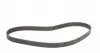 CT1091 Ремінь ГРМ Citroen Jumpy/C4/C5 2.0 HDI 07-/Fiat Scudo 2.0D 07-/Ford Focus/Mondeo 04-(116x25.4) CONTITECH підбір по vin на Brocar