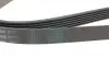 6PK1590 Ремень генератора Opel Combo/Astra G 1.7DTi 01-/VW T4 2.0 90-03/Ford Mondeo 2.5 94-00 CONTITECH підбір по vin на Brocar