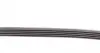 5PK1025 Ремень генератора BMW X5 (E53) 4.4i/4.6is/Opel Astra 2.2 16V 00-03/Mazda 626 1.8 94-97/MX-5 2.0 15- CONTITECH підбір по vin на Brocar