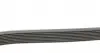 8PK2440 Ремень генератора MB S-class (W140) CONTITECH підбір по vin на Brocar