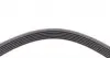 6PK1635 Ремінь генератора Renault Megane 2.0 96-03/Opel Astra/Insignia 1.6CDTi 15-/Audi A6/A8 2.6/2.8 94-97 CONTITECH підбір по vin на Brocar