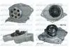 Водяной насос Megane/Laguna/Scenic 1.9dCi 02- DOLZ R234