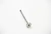 V165071 Клапан выпуск Fiat Panda/Punto 1.2/1.4i 99- BGA V165071 BGA підбір по vin на Brocar