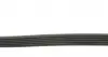 6PK1306 Ремень генератора Ford Focus/Mazda 3/5/Volvo S40/V50/C30 1.8/2.0 03- CONTITECH підбір по vin на Brocar