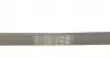 6PK1306 Ремень генератора Ford Focus/Mazda 3/5/Volvo S40/V50/C30 1.8/2.0 03- CONTITECH підбір по vin на Brocar