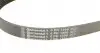 6PK1306 Ремень генератора Ford Focus/Mazda 3/5/Volvo S40/V50/C30 1.8/2.0 03- CONTITECH підбір по vin на Brocar