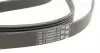 6PK2370 Ремень генератора VW Passat 2.3 96-05 CONTITECH підбір по vin на Brocar