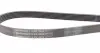 6PK2225 Ремень генератора VW T4 2.5 90-03/Ford Fiesta/Mondeo 1.8/2.0 00-08/Jeep Cherokee 3.7 01-08 CONTITECH підбір по vin на Brocar