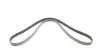 6PK1685 Ремень генератора VW LT 2.8TDI 01-06/Volvo 850/S70/S80/V70 2.5TDI 95-06/Opel Astra/Insignia 1.6 12- CONTITECH підбір по vin на Brocar