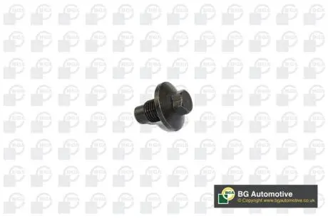 PK1400 Маслосливная пробка Boxer/Jumper 2.2HDI 06- BGA PK1400 BGA підбір по vin на Brocar