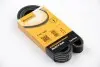 Ремінь генератора VW T5/Amarok 2.0TDI 09-/Ford Focus/Kuga/Galaxy 98-/Opel Astra J/Insignia A 1.6 08- 6PK1555