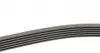 6PK1555 Ремень генератора VW T5/Amarok 2.0TDI 09-/Ford Focus/Kuga/Galaxy 98-/Opel Astra J/Insignia A 1.6 08- CONTITECH підбір по vin на Brocar