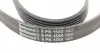 6PK1555 Ремень генератора VW T5/Amarok 2.0TDI 09-/Ford Focus/Kuga/Galaxy 98-/Opel Astra J/Insignia A 1.6 08- CONTITECH підбір по vin на Brocar