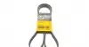 6PK1530 Ремінь генератора Opel Astra F/Corsa B/Vectra B 1.4-1.8 94-03/Ford Escort/Fiesta 1.6/1.8 92-95 CONTITECH підбір по vin на Brocar