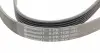 6PK1530 Ремінь генератора Opel Astra F/Corsa B/Vectra B 1.4-1.8 94-03/Ford Escort/Fiesta 1.6/1.8 92-95 CONTITECH підбір по vin на Brocar