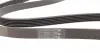 6PK1693 Ремень генератора Skoda Yeti/Seat Toledo/VW Touran/Caddy 1.2TSI 09-17/Toyota Corolla 1.4/1.6i 01-08 CONTITECH підбір по vin на Brocar