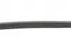 5PK865 Ремень генератора BMW 3 (E46)/5 (E39)/7 (E38) 95-05 (5PK865) CONTITECH підбір по vin на Brocar