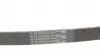 5PK865 Ремень генератора BMW 3 (E46)/5 (E39)/7 (E38) 95-05 (5PK865) CONTITECH підбір по vin на Brocar