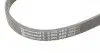 5PK865 Ремень генератора BMW 3 (E46)/5 (E39)/7 (E38) 95-05 (5PK865) CONTITECH підбір по vin на Brocar