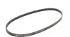 4PK845 Ремень генератора Honda Civic/Nissan Primera CONTITECH підбір по vin на Brocar
