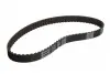 CT645 Ремень ТНВД VW T4 2.4D 90-03/Audi 100 2.4D 90-94 (77x20) CONTITECH підбір по vin на Brocar
