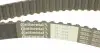 CT1012 Ремень ГРМ VW Polo/Caddy 1.7SDI/19D 96-01/Skoda Felicia 1.9D 95-02/Seat Arosa 97-04 (22.9x137z) CONTITECH підбір по vin на Brocar