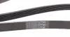 6PK1560 Ремінь генератора Citroen Berlingo 1.6 00-08/ Nemo 1.4i 08- CONTITECH підбір по vin на Brocar