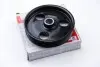 Шків насоса г/п D 132mm, d 19mm, 6pk Dacia Duster 1.5D-1.6Lpg 04.10-