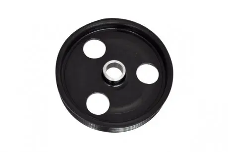 30421 Шків насоса г/п D 132mm, d 19mm, 6pk Dacia Duster 1.5D-1.6Lpg 04.10- ASAM підбір по vin на Brocar