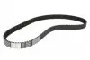 Ремень ГРМ Fiat Doblo/Opel Combo 10-/Jeep Compass/Renegade 1.4i 14- (124x22) CT1049