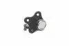 301181311880 Опора шаровая ALFA ROMEO MITO,CITROEN NEMO,OPEL CORSA C 05- перед. мост (Пр-во MAGNETI MARELLI) MAGNETI MARELLI підбір по vin на Brocar