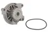 538004510 Помпа воды VW T4/LT/Crafter 2.4D/2.5TDI, 90-05/13 / Audi 100/A6 2.4D/2.5TDI, 90-97 INA підбір по vin на Brocar