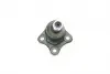 301191617760 Опора шаровая AUDI A3, SEAT LEON, VW GOLF IV 96- перед. мост справа (Пр-во MAGNETI MARELLI) MAGNETI MARELLI підбір по vin на Brocar