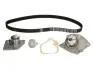 Водяной насос + комплект зубчатого ремня RENAULT MEGANE II 1.9 dCi 2004 - 2006 (Пр-во SKF) VKMC 06129