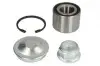 Подшипник ступицы (задней) Renault Megane/Clio 01- (25x52x37) 16-14 650 0001