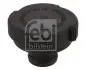 Крышка радиатора охлаждения BMW E31/E32/E34/E36/E38/E39/E46/Z3 (00-99) (пр-во FEBI) 01617