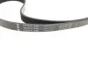529010810 Комплект ремня генератора Skoda Octavia/VW Golf IV 1.4/1.6 16V 96-10 (6PK1548) INA підбір по vin на Brocar