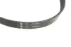 529009910 Комплект ремня генератора VW Passat 1.4-2.0 TDI 96-05 (4PK855) INA підбір по vin на Brocar