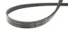 529009910 Комплект ремня генератора VW Passat 1.4-2.0 TDI 96-05 (4PK855) INA підбір по vin на Brocar