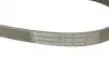 6PK2535 Ремень генератора Audi A8/Q7 3.0TDI 07-18 (6PK2535) CONTITECH підбір по vin на Brocar